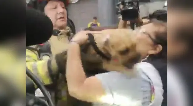 Mascota y su dueña se reencontraron tras incendio y protagonizaron emotivo momento.