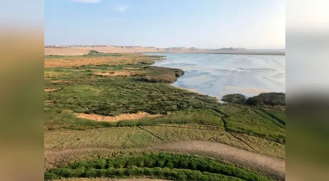 Las albuferas son unas formas de agua que se encuentran cerca al mar