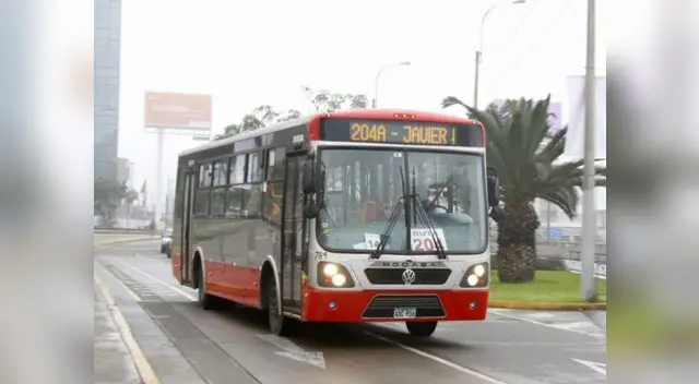 El servicio especial estará a partir del sábado