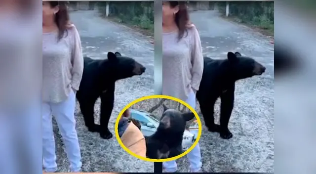 Ante esto, la unidad de Protección Civil del poblado mexicano brindó recomendaciones en caso de encontrase con un oso.