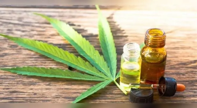 Cannabis con fines medicinales será regulado por el Estado