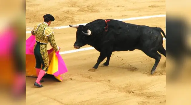 Las corridas de toros es considerada por parte de la sociedad como una tradición