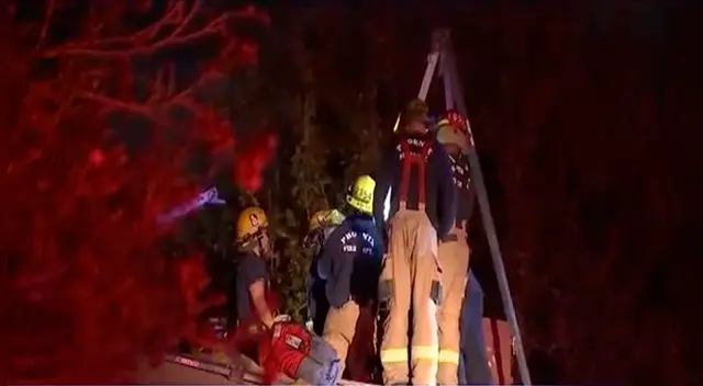 Joven se llevó el susto de su vida Joven se llevó el susto de su vida