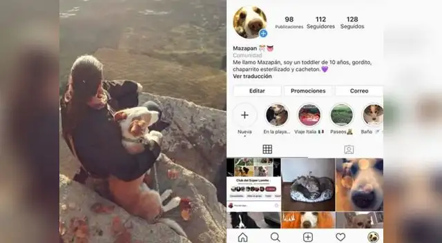 Instagram: Perrito famoso comparte aventuras junto a su dueña 