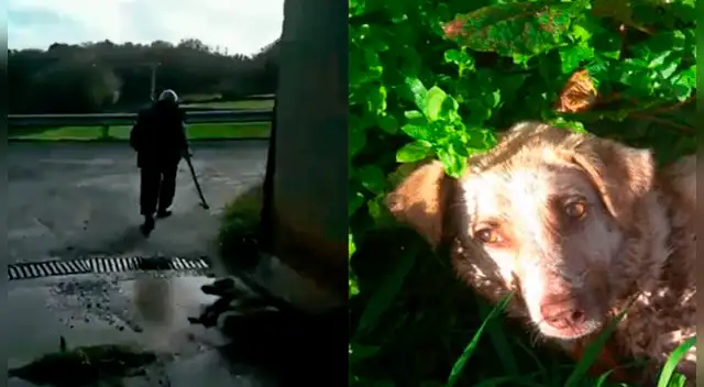 “Soy cazador y disparo a quien se me dé la gana”, indicó el sujeto que disparó a su mascota