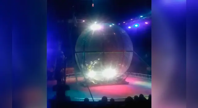 Dos conductores terminaron en un violento choque en el circo ruso Dos conductores terminaron en un violento choque en el circo ruso