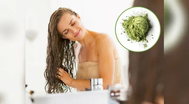 Matcha y sus beneficios en el cabello Matcha y sus beneficios en el cabello