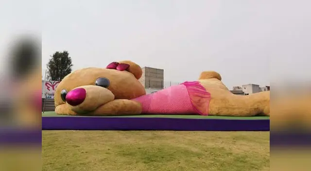 México: Osa gigante entró al libro de récords Guinnes [VIDEO]