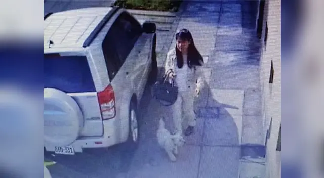 “Cometí un descuido muy grave con mi pequeña Cashew”, indicó la supuesta dueña de la perrita