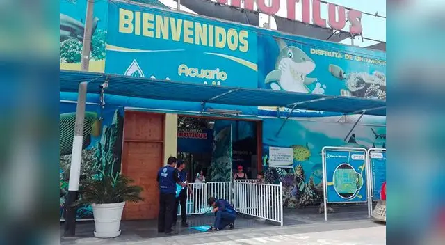 Acuario Nautilus fue clausurado por no cumplir con las medidas de seguridad correspondientes a la municipalidad de Comas Acuario Nautilus fue clausurado por no cumplir con las medidas de seguridad correspondientes a la municipalidad de Comas