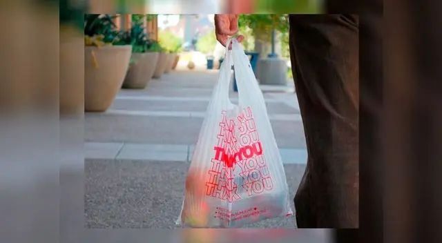 La bolsa de plástico representa un riesgo para el ambiente La bolsa de plástico representa un riesgo para el ambiente