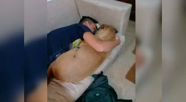 Perrita muere tras padeder ruido de pirotécnia