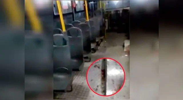 La evidencia de sangre registra el asalto cometido