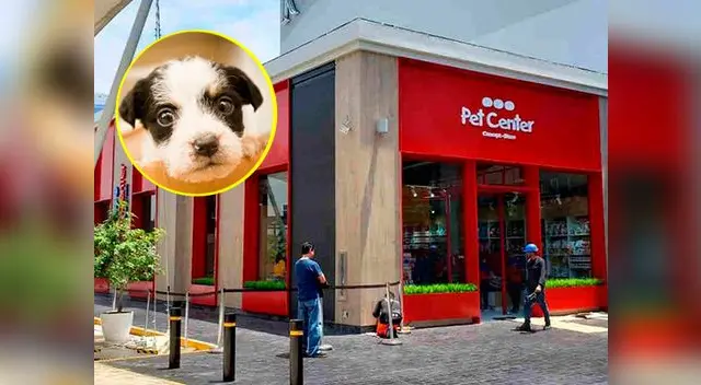 Centro de mascotas exige a quien adopte una mascota una serie de pagos
