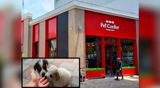 Adoptar una mascota implica una gran responsabilidad