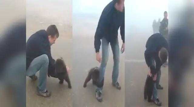 Este emotivo clip fue compartido por un conocido influencer llamado Susanta Nanda Este emotivo clip fue compartido por un conocido influencer llamado Susanta Nanda