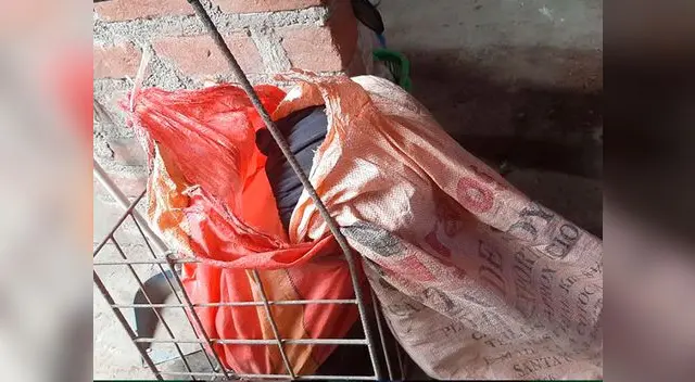 Anciana de 64 años es encontrada dentro de un costal por su hijo de 24 años en Comas Anciana de 64 años es encontrada dentro de un costal por su hijo de 24 años en Comas