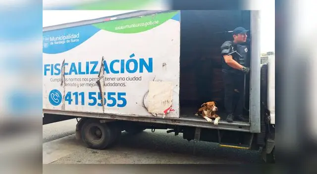 El perro tendrá una mejor suerte