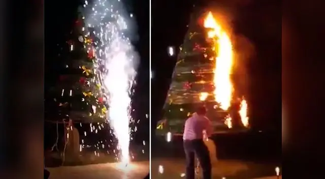 Familia nunca imaginó que su hermoso árbol terminaría quemándose por completo 