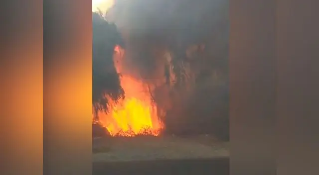 Fuerte incendio fortestal se registra en la Urbanización Santa Rosa en San Juan de Miraflores. Fuerte incendio fortestal se registra en la Urbanización Santa Rosa en San Juan de Miraflores.