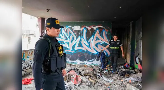 Establecimiento era nido de ratas y cucarachas 