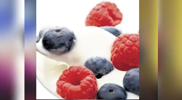 Contribuyen a mantener el equilibrio de la flora intestinal