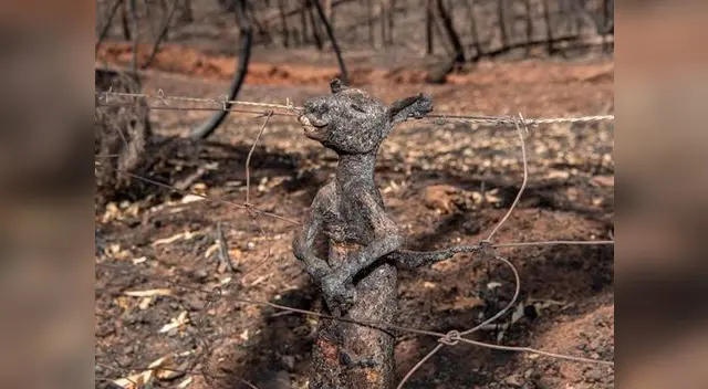 “La crisis es real y cuenta la historia al mundo”, indica el texto que acompaña a la imagen en Instagram “La crisis es real y cuenta la historia al mundo”, indica el texto que acompaña a la imagen en Instagram