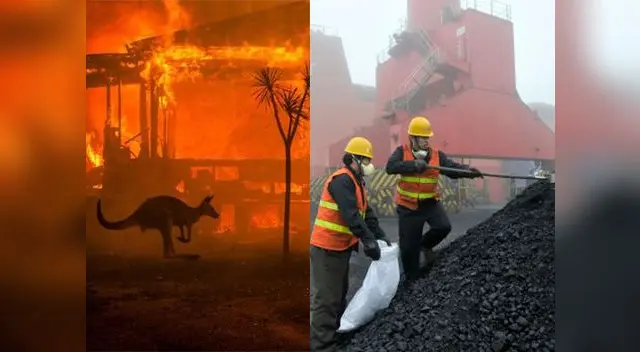 ”Necesita energía barata. Aquí entra el quid de todo este asunto: el carbón” agregó el usuario de Twitter