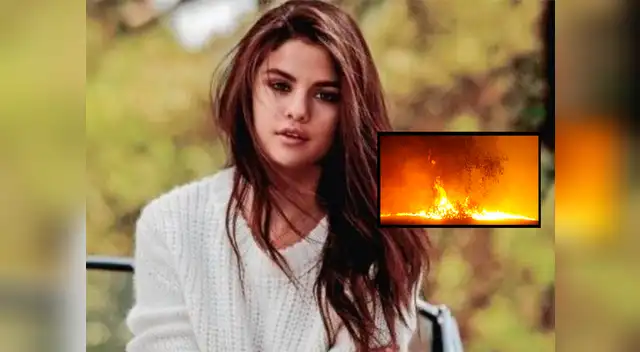 Hasta el momento 12.35 millones de hectáreas de tierra han sido quemadas, y más de 1500 hogares han sido destruidos