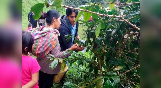 Loable labor de campesina
