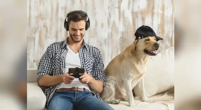 Estudios indican que perros y gatos no son tan “inocentes” como parecen