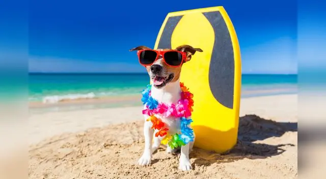 Protegerlos del sol es la clave para esta temporada de verano. Protegerlos del sol es la clave para esta temporada de verano.