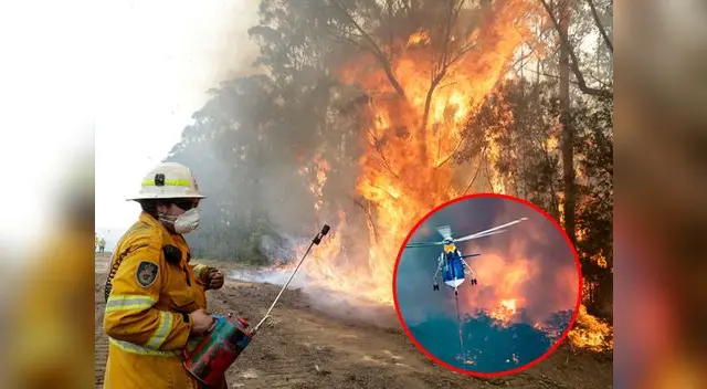 Este nuevo estatus otorga más poderes a las fuerzas locales para ordenar evacuaciones hacerse con propiedades privadas para sofocar los incendios forestales