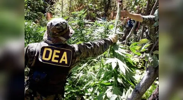 Bolivia no quiere a la DEA en su país