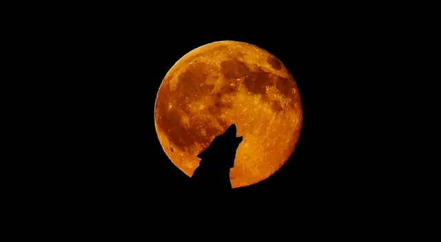 Sepa a qué hora, dónde y cuándo se realizará la gran luna lobo en el Perú