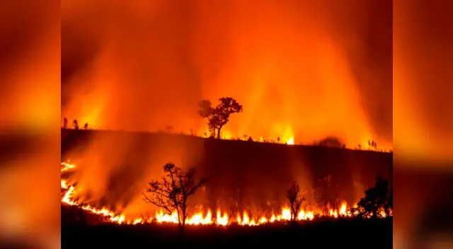 Además, se conoció que el humo ingresó a Uruguay y podría estar en Brasil Además, se conoció que el humo ingresó a Uruguay y podría estar en Brasil
