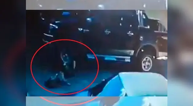 Conductor mató a un perro al no darse cuenta que se encontraba durmiendo