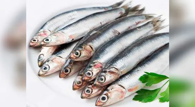 Conozca los beneficios de los peces azules