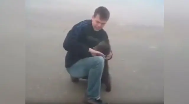 Hasta ahora el video tiene más de 20 mil de reproducciones Hasta ahora el video tiene más de 20 mil de reproducciones