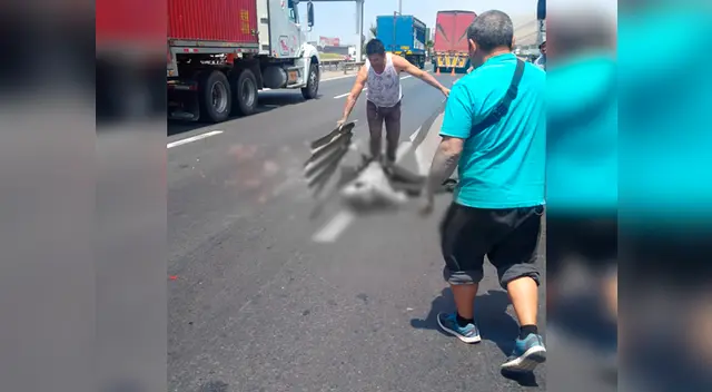 Suboficial de tercera fallece en el acto por la Panamericana del Sur 