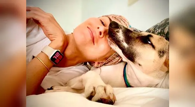 Anahí de Cárdenas espera ganarle la batalla a esta enfermedad Anahí de Cárdenas espera ganarle la batalla a esta enfermedad