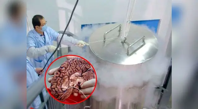  La firma rusa KrioRus llama "pacientes" a los cadáveres 