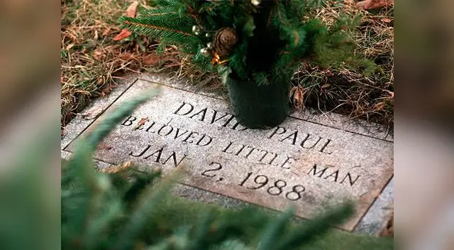 David Paul fue encontrado congelado en la base de un árbol de un estacionamiento en enero de 1988 David Paul fue encontrado congelado en la base de un árbol de un estacionamiento en enero de 1988