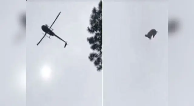  El material audiovisual ha causado rechazo en Uruguay