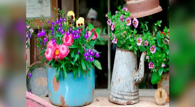 Recicla y reutiliza tus ollas y teteras viejas