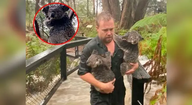 Se pronosticaron más tormentas durante el fin de semana Se pronosticaron más tormentas durante el fin de semana