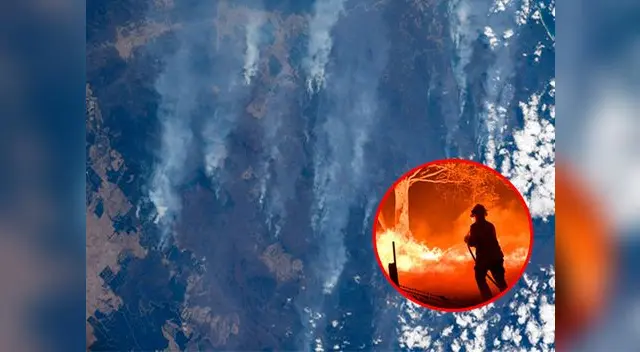 El humo está afectando seriamente la calidad del aire en otros países El humo está afectando seriamente la calidad del aire en otros países