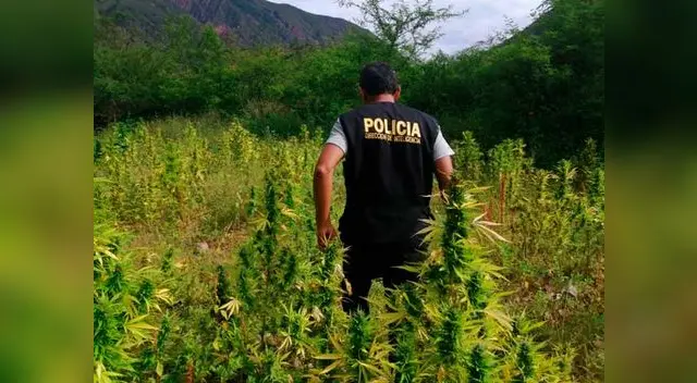 La PNP asegura que será cuestión de horas para la captura de los narcotraficantes La PNP asegura que será cuestión de horas para la captura de los narcotraficantes