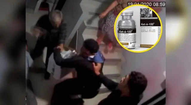 Independencia: Delincuentes roban 25 frascos de ketamina en veterinaria 