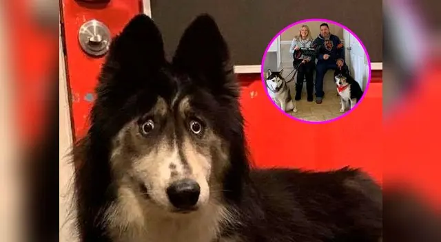 Jubilee, tiene 4 años y fue abandonada por la forma de sus ojos